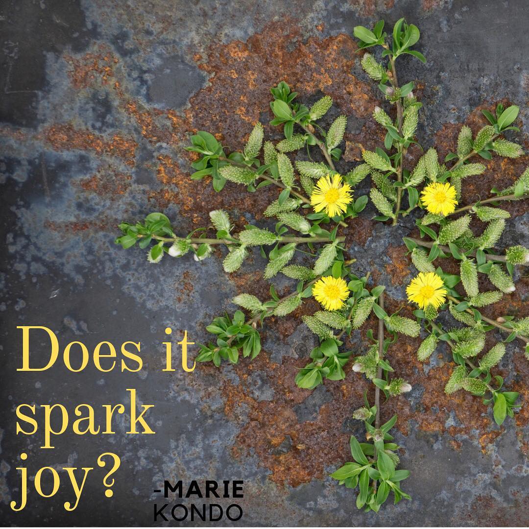 Energy Medicine Monday – simplify