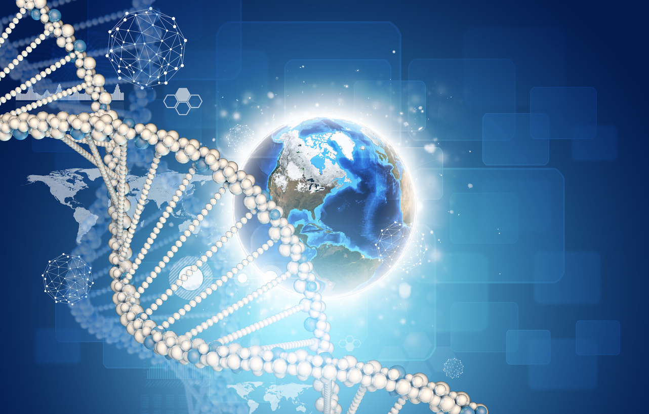 Our Seemingly Infinite DNA